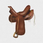 Saddle