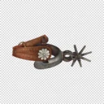 Spur with Leather Strap