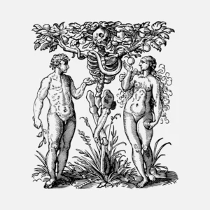 Adam and Eve Vector