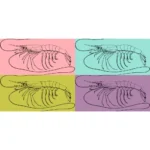 Shrimp or Prawn Plesiopenaeus Coruscans Vector