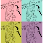 Allegory Night Owl Attacked by Birds Vector
